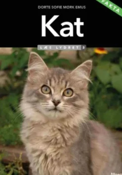 Kat, Læs Lydret 3, Fakta