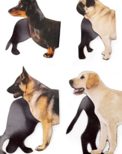 Kikkerland - Magnetisk Bogmærke - Hund