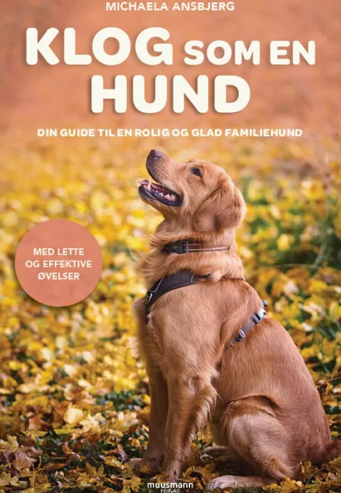 Klog Som En Hund