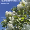 Kærlighed I Højskolesangbogen - Ny Analyse