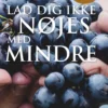 Lad Dig Ikke Nøjes Med Mindre
