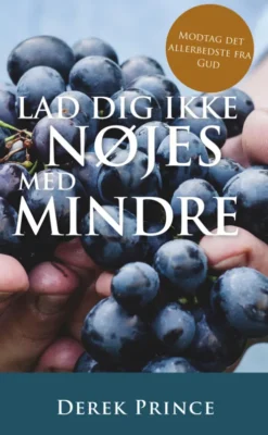 Lad Dig Ikke Nøjes Med Mindre