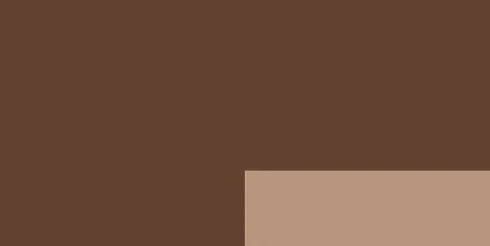 Lefranc Bourgeois - Flashe Akrylmaling - Burnt Umber - 125 ML