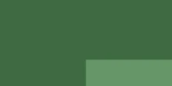Lefranc & Bourgeois - Flashe Akrylmaling - Chromium Oxide Green 125 ML