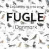 Leg, Læring Og Krea Om Fugle I Danmark