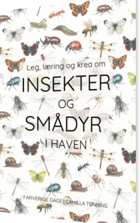 Leg, Læring Og Krea Om Insekter Og Smådyr I Haven