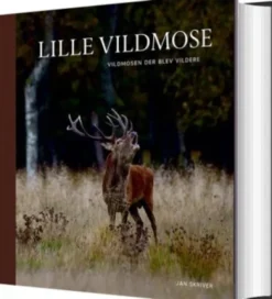 Lille Vildmose