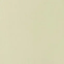 Liquitex - Basics Acrylic - Akrylmaling - Parchment 118 ML