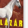 Lázár