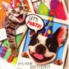 Magni - 3D Kort - Let's Party - Dyr