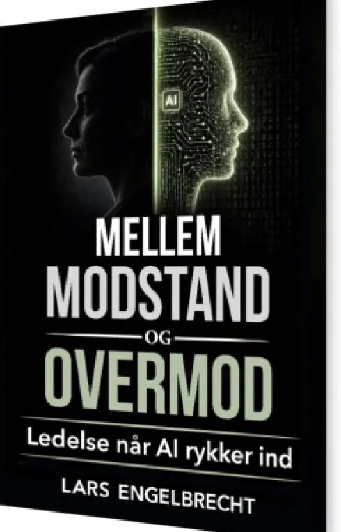 Mellem Modstand Og Overmod