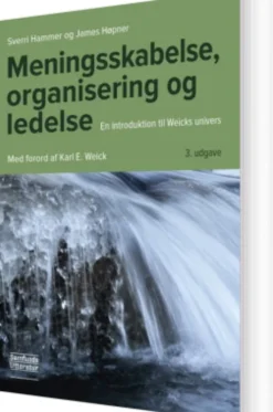 Meningsskabelse, Organisering Og Ledelse