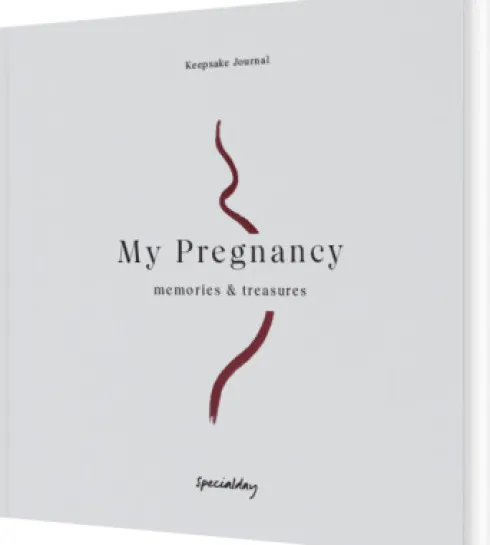 My Pregnancy