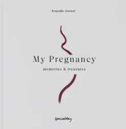 My Pregnancy