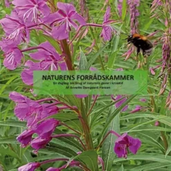 Naturens Forrådskammer