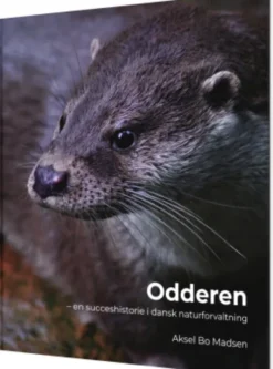 Odderen