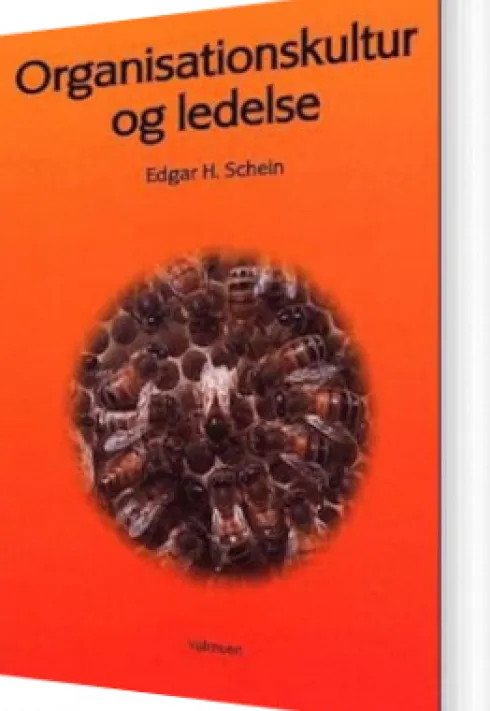 Organisationskultur Og Ledelse