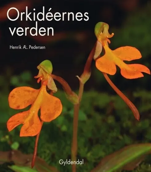 Orkidéernes Verden