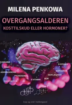 Overgangsalderen