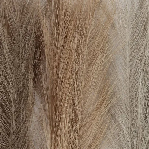 Pampasgræs - L 50 CM - Lys Pudder - Lys Brun - Lys Grå - 3 Stk./ 1 Bundt