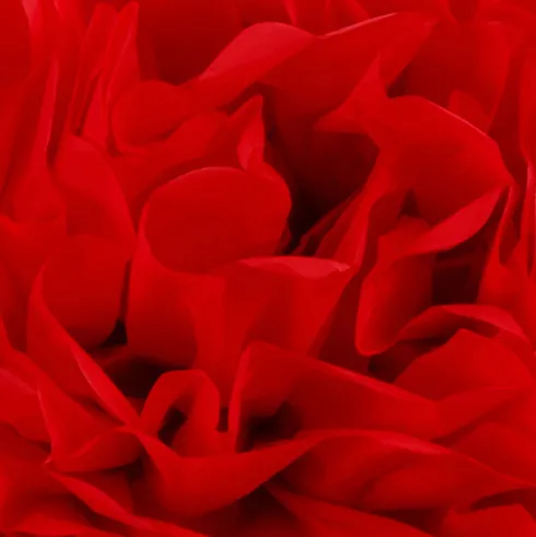 Papir Pomponer - Ø 20+24+30 CM - 16 G - Rød - 3 Stk