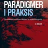 Paradigmer I Praksis