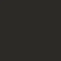 Paver Color - Sort - 40 ML