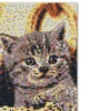 Perler Og Perleplader Sæt - Kat - Ses Creative - Beedz Art
