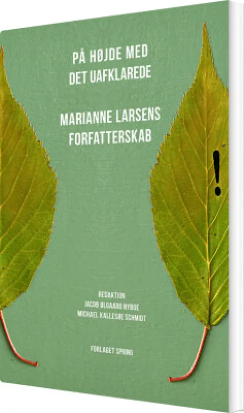 På Højde Med Det Uafklarede