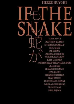 Pierre Huyghe - If The Snake