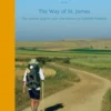 Pilgrim's Guide To The Camino De Santiago: Camino Frances St. Jean - Roncesvalles - Santiago