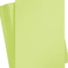 Playcut Karton A4 180 G - 100 Ark Løvgrøn