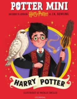 Potter Mini - Harry Potter