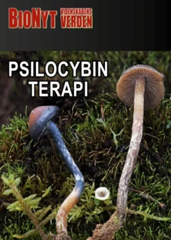Psilocybin-Terapi