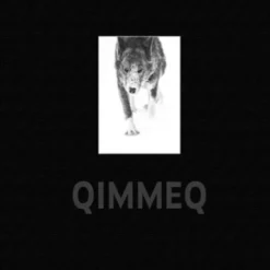 Qimmeq - Kalaallit Qimmiat Qimuttoq