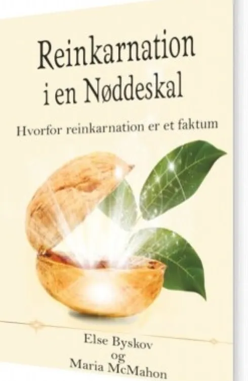 Reinkarnation I En Nøddeskal