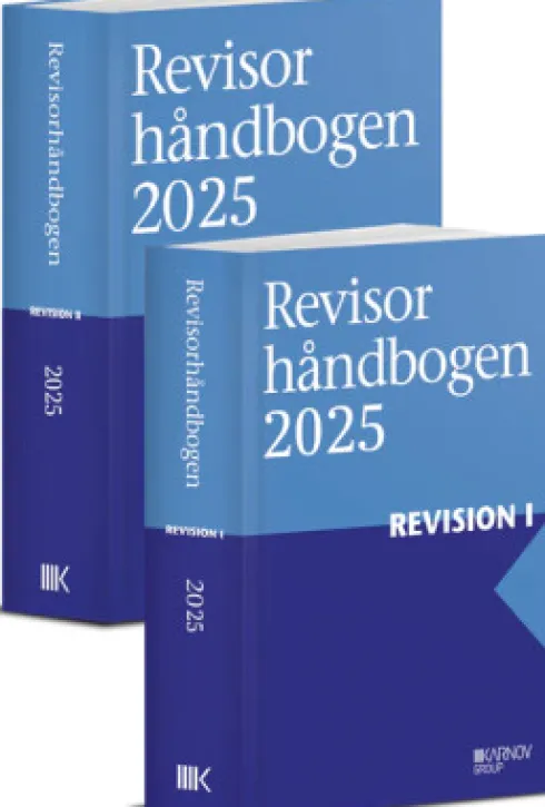 Revisorhåndbogen 2025, Revision Bd. I+II