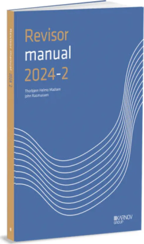Revisormanual 2024/2