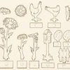 Saml-Selv Træfigur - L 15,5 CM - B 17 CM