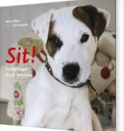Sit!