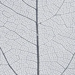 Skeletblade - L 6-8 CM - Blå - 20 Stk