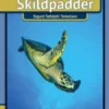 Skildpadder