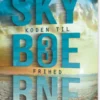 Skyboerne 3