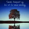 Slow Living - Sænk Tempoet Og Lev Et Liv Med Mening