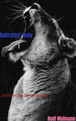 Sokrates' Hule