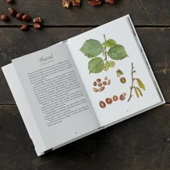 Spiselige Vilde Frugter