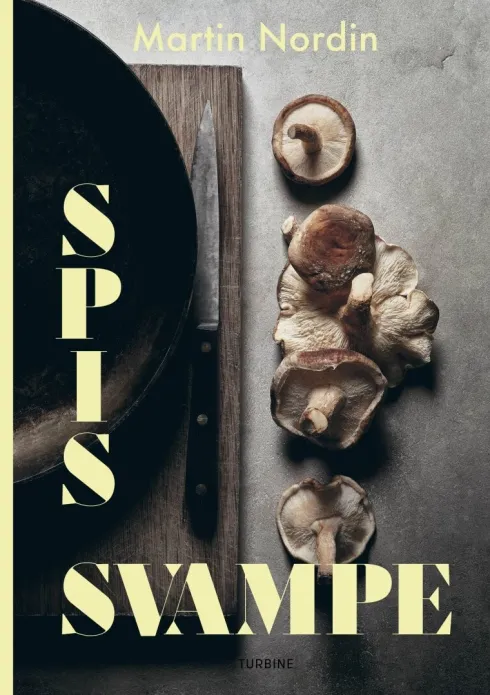 Spis Svampe