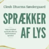 Sprækker Af Lys