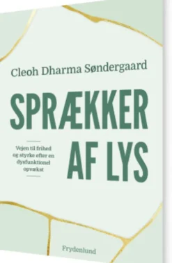 Sprækker Af Lys