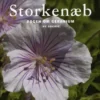 Storkenæb